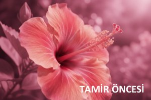 Epson pembe basma - sorunlu çıktı örneği